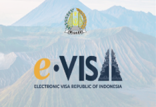 Visa Online